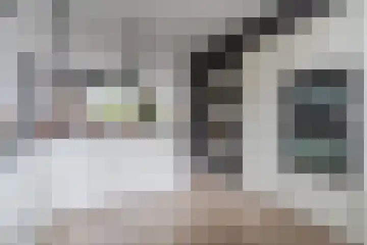 Stuifduin 8 Oosterhout thumbnail 13
