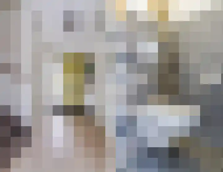 Stuifduin 8 Oosterhout thumbnail 15