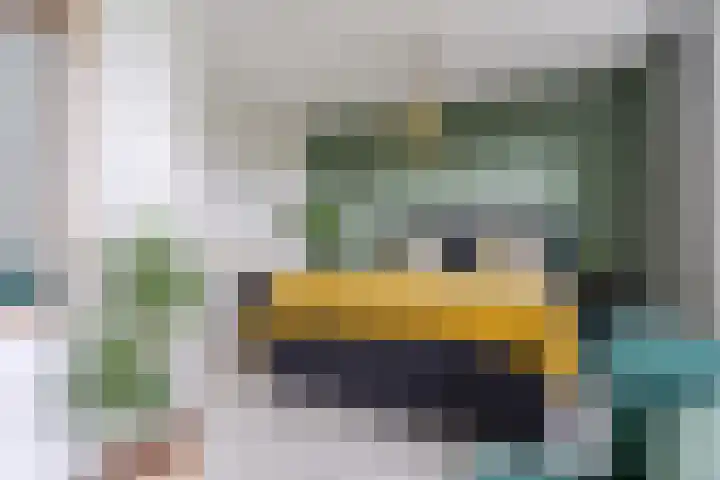Stuifduin 8 Oosterhout thumbnail 18