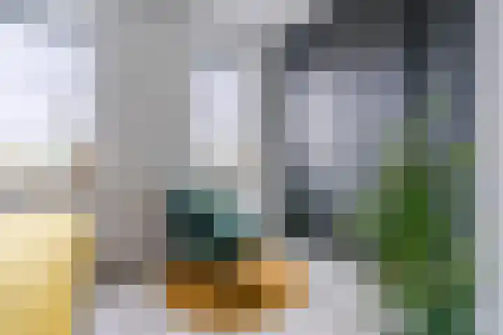 Stuifduin 8 Oosterhout thumbnail 20
