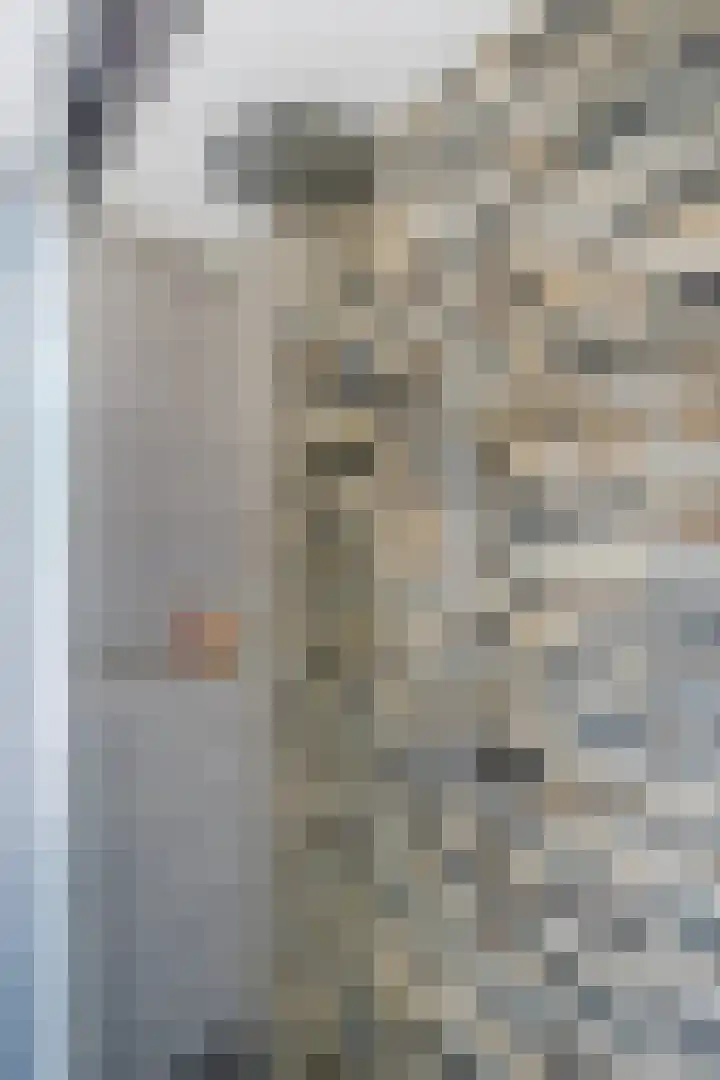 Stuifduin 8 Oosterhout thumbnail 27