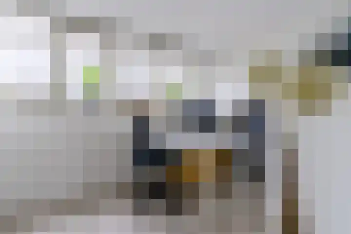 Stuifduin 8 Oosterhout thumbnail 33