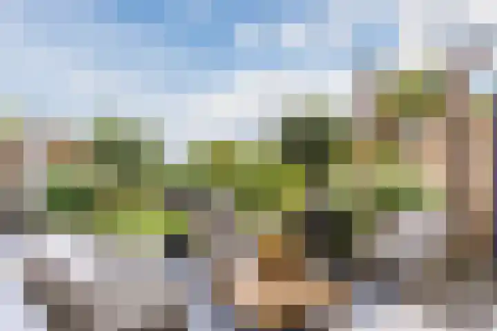 Stuifduin 8 Oosterhout thumbnail 42