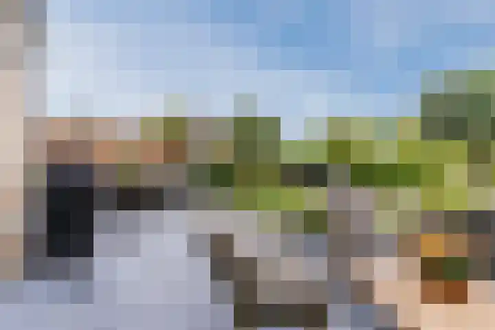 Stuifduin 8 Oosterhout thumbnail 43