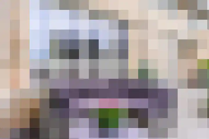 Stuifduin 8 Oosterhout thumbnail 44