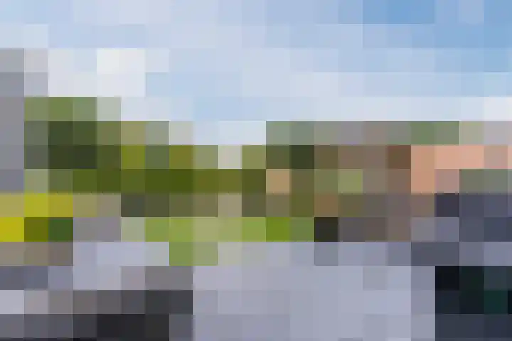 Stuifduin 8 Oosterhout thumbnail 46