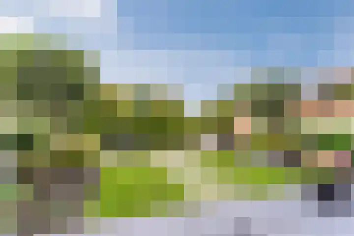 Stuifduin 8 Oosterhout thumbnail 47