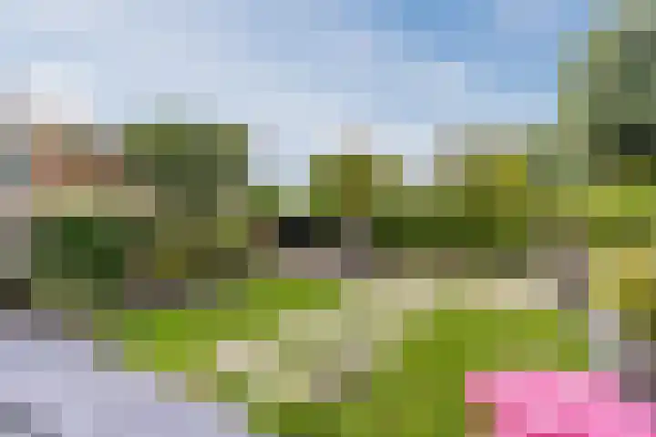 Stuifduin 8 Oosterhout thumbnail 48