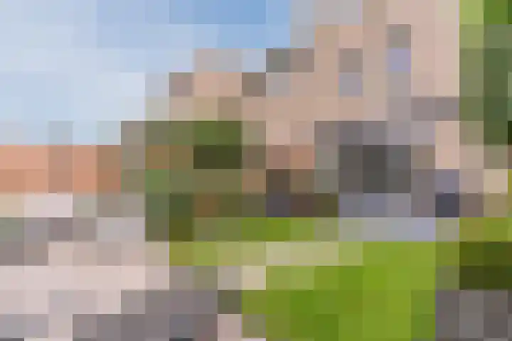 Stuifduin 8 Oosterhout thumbnail 51
