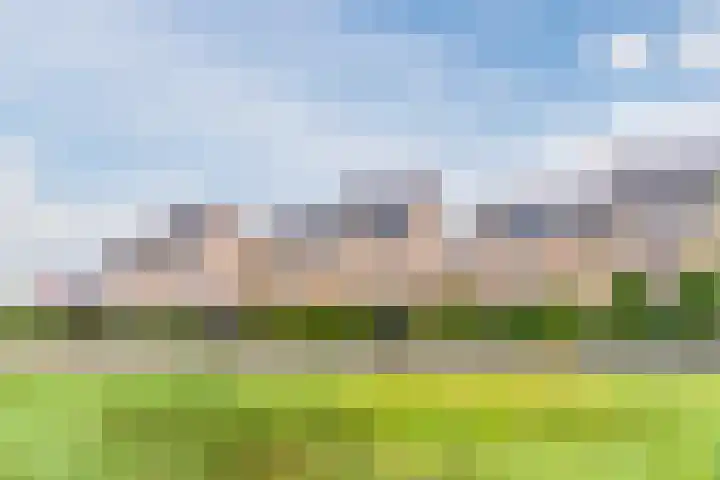 Stuifduin 8 Oosterhout thumbnail 57