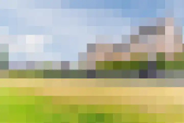 Stuifduin 8 Oosterhout thumbnail 58