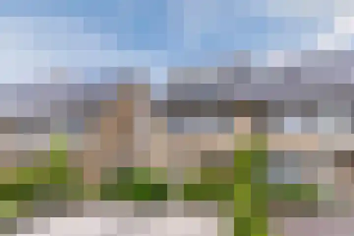 Stuifduin 8 Oosterhout thumbnail 61