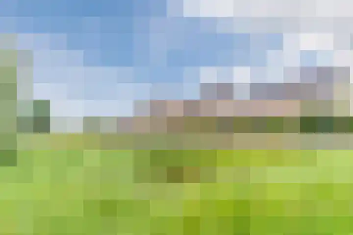 Stuifduin 8 Oosterhout thumbnail 62