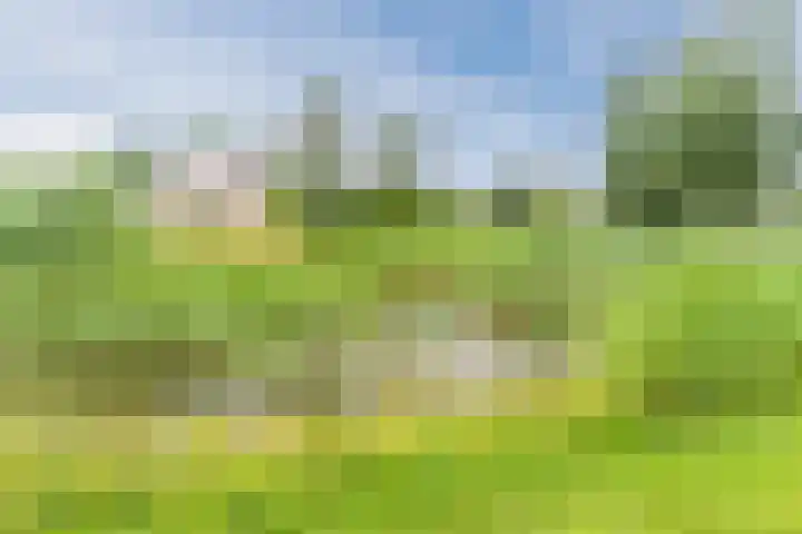 Stuifduin 8 Oosterhout thumbnail 63