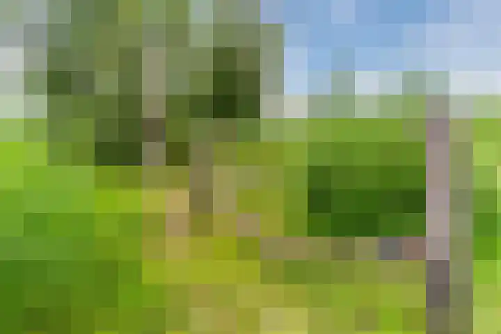 Stuifduin 8 Oosterhout thumbnail 64