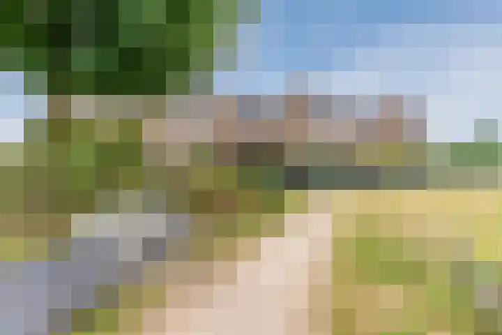 Stuifduin 8 Oosterhout thumbnail 65