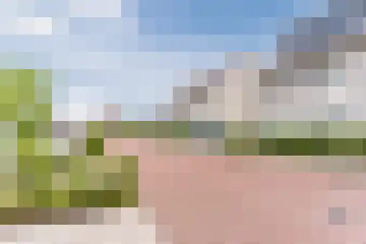 Stuifduin 8 Oosterhout thumbnail 66