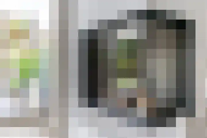 Stuifduin 8 Oosterhout thumbnail 7