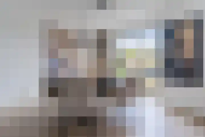 Stuifduin 8 Oosterhout thumbnail 9