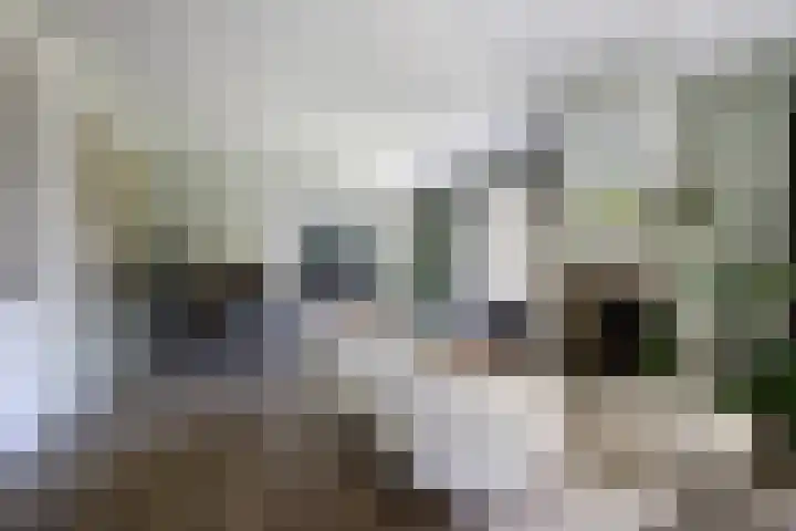 Stuifketel 8 Burgh-Haamstede thumbnail 27