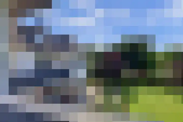 Stuifketel 8 Burgh-Haamstede thumbnail 55