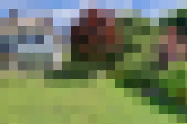 Stuifketel 8 Burgh-Haamstede thumbnail 64