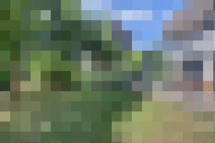 Stuifketel 8 Burgh-Haamstede thumbnail 66