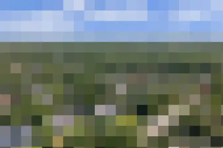 Stuifketel 8 Burgh-Haamstede thumbnail 73