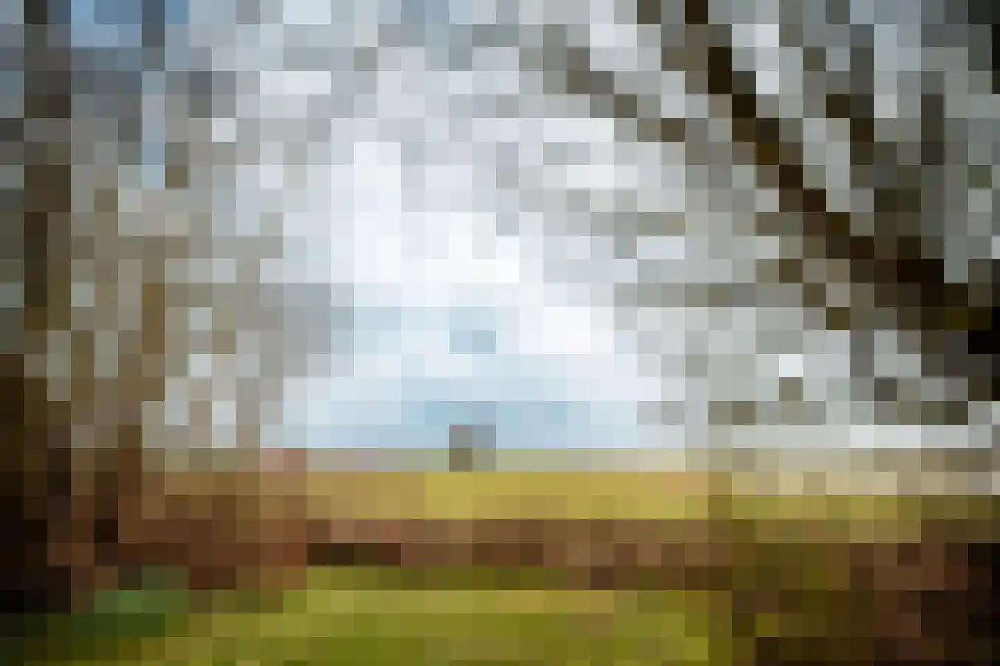 Stuifweg 5 Oosterend thumbnail 10