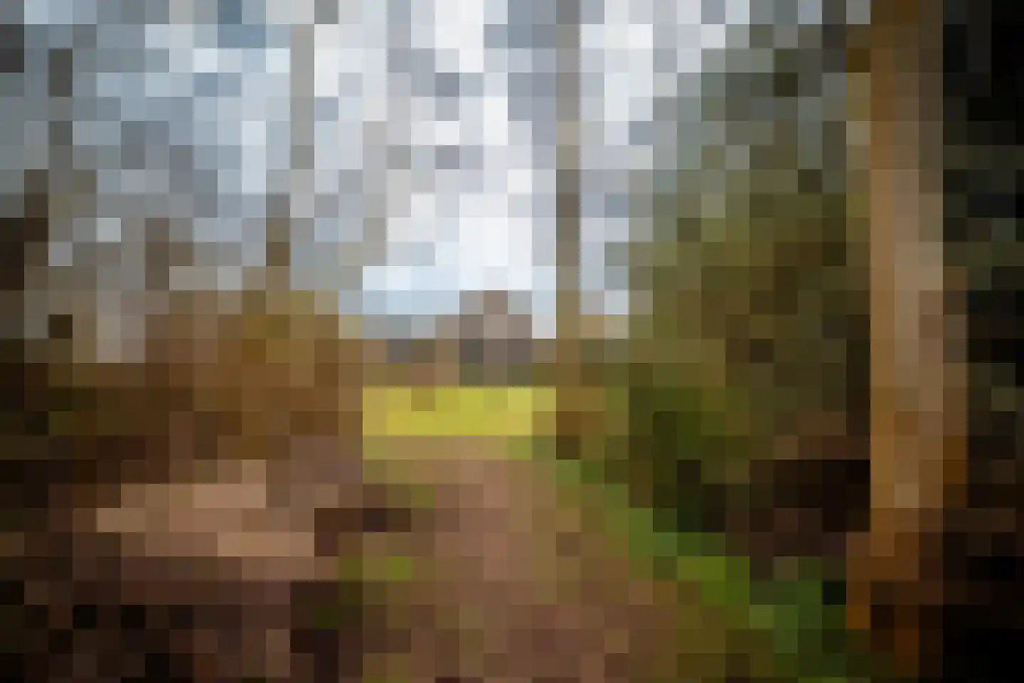 Stuifweg 5 Oosterend thumbnail 11