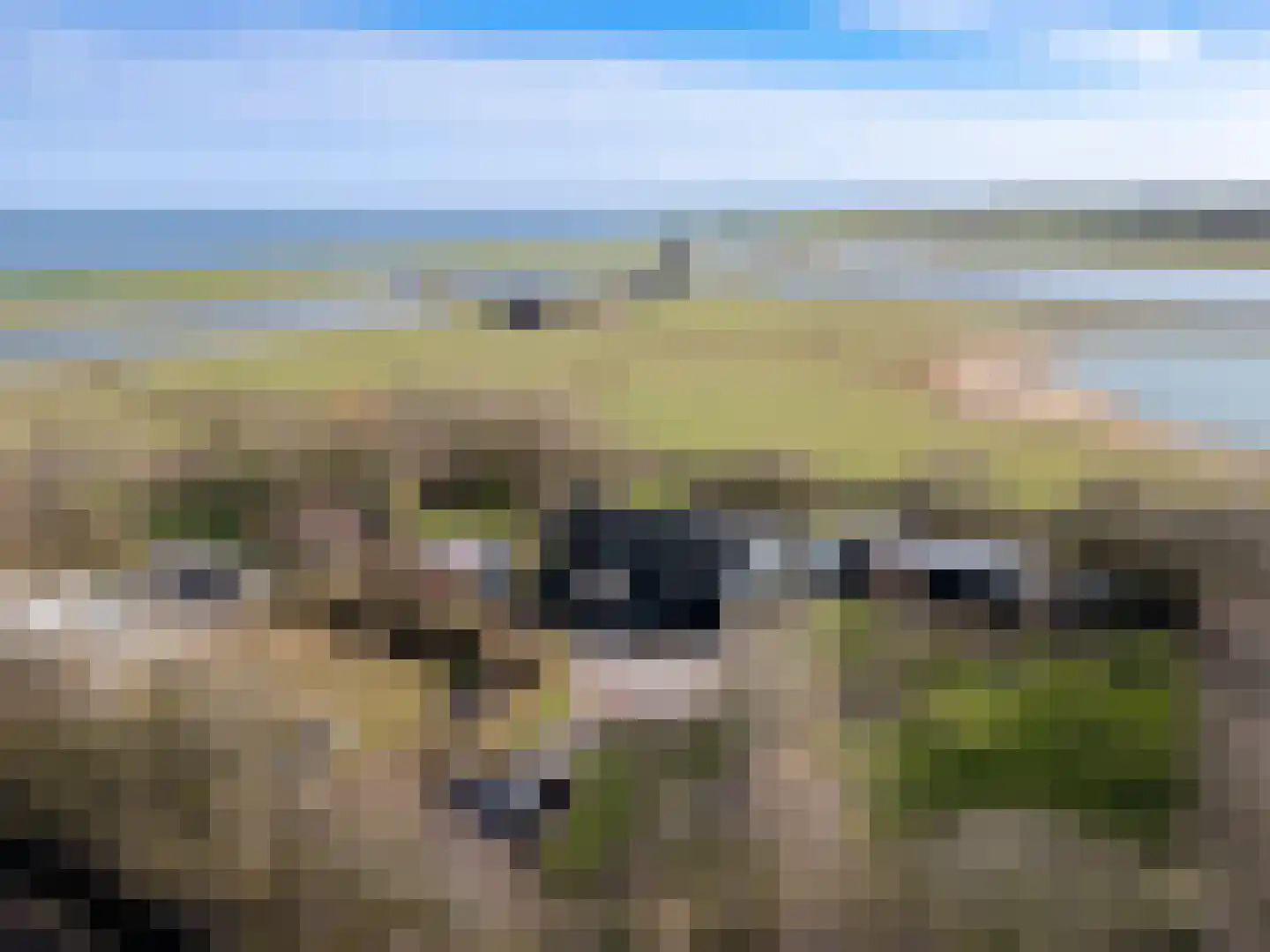 Stuifweg 5 Oosterend thumbnail 4