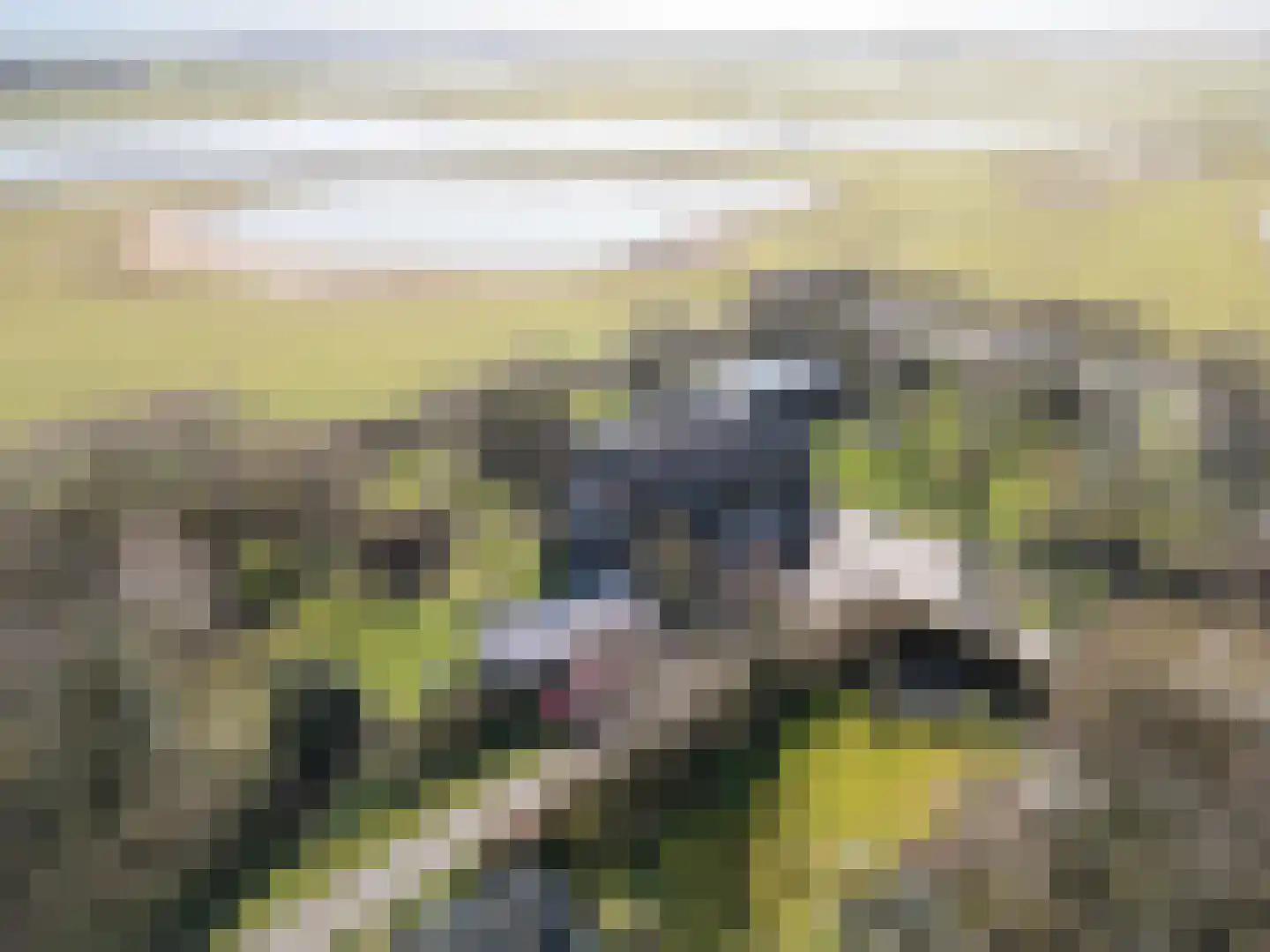 Stuifweg 5 Oosterend thumbnail 6