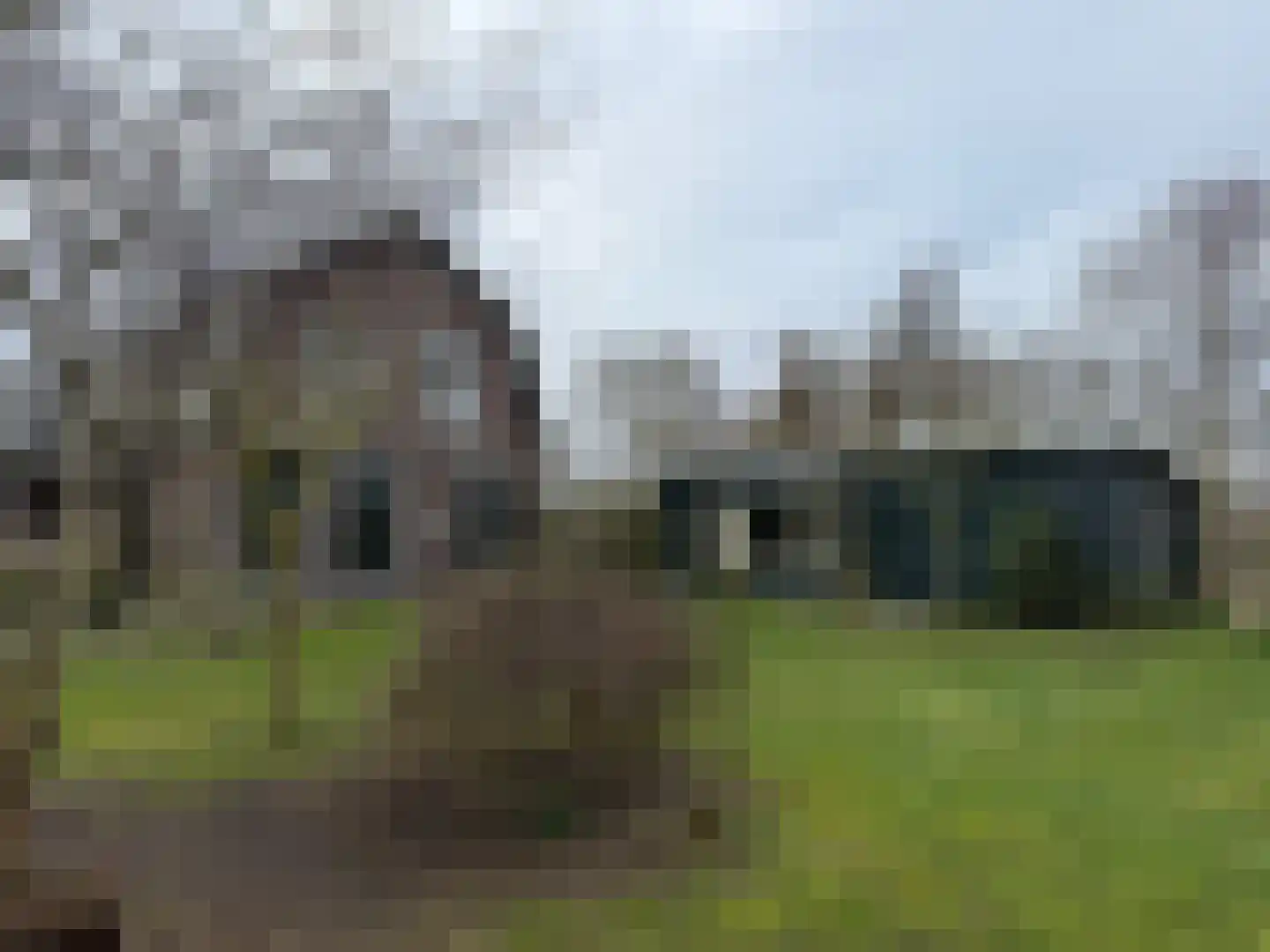 Stuifweg 5 Oosterend thumbnail 64