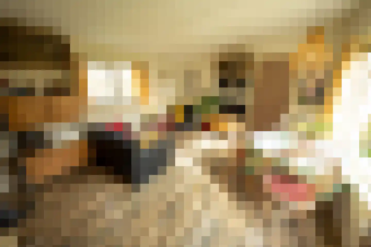 Stuifweg 5 Oosterend thumbnail 65