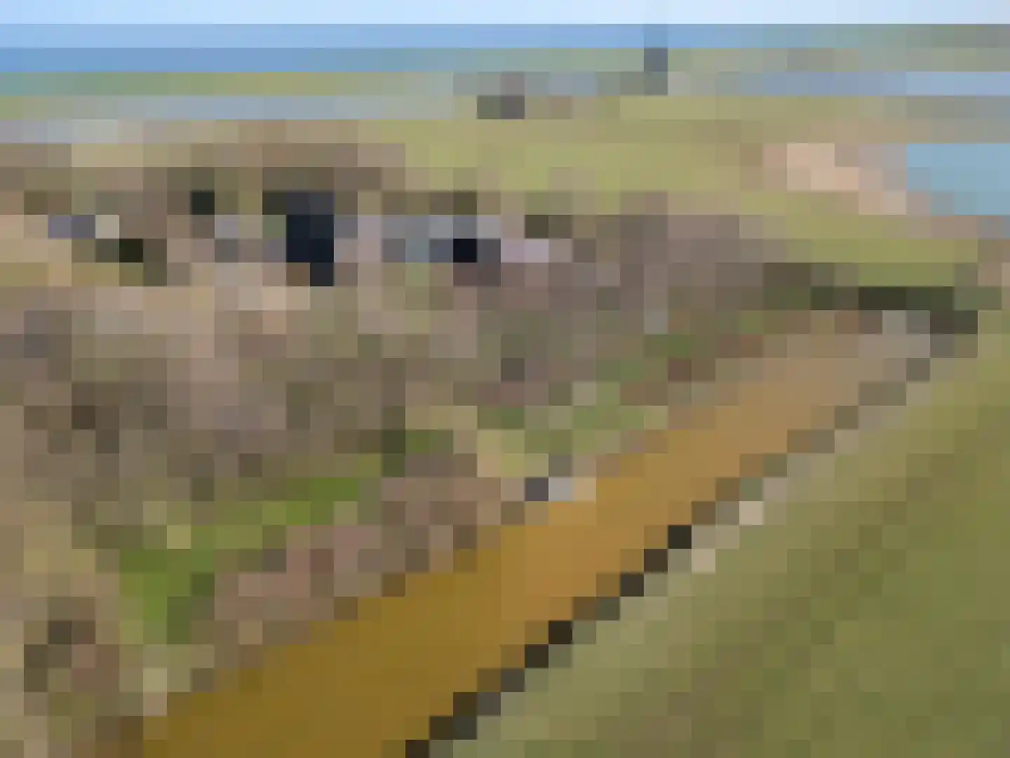 Stuifweg 5 Oosterend thumbnail 7