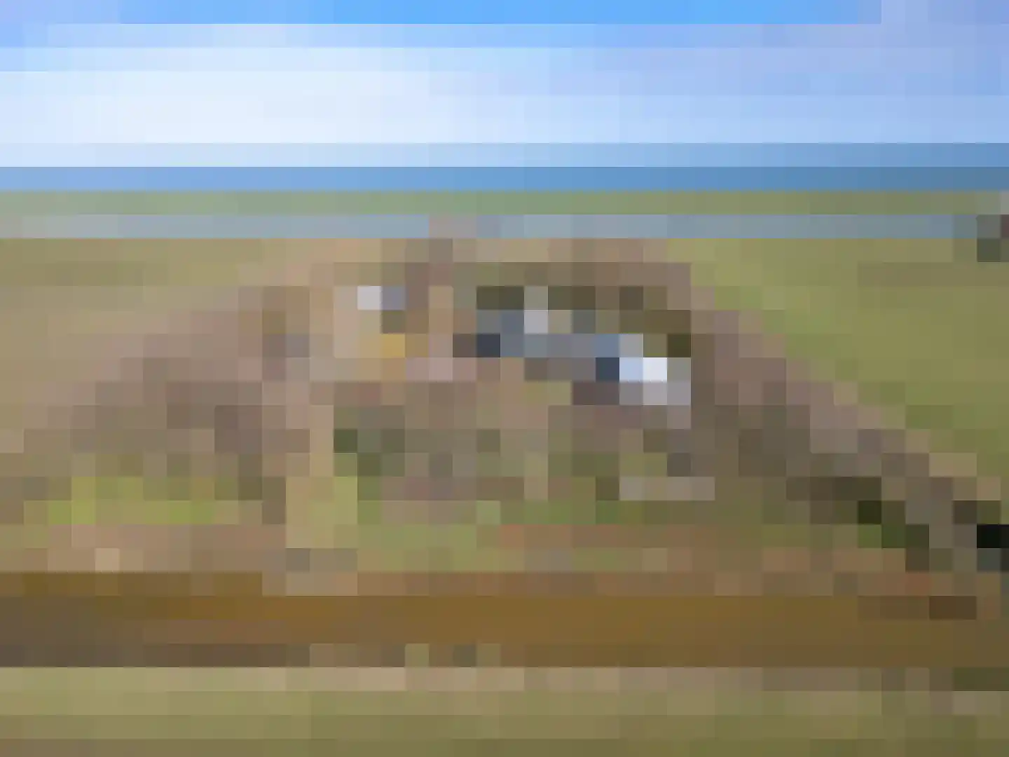 Stuifweg 5 Oosterend thumbnail 8
