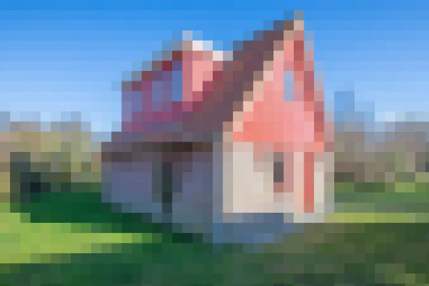 Stuifweg 95 Oosterend thumbnail 25