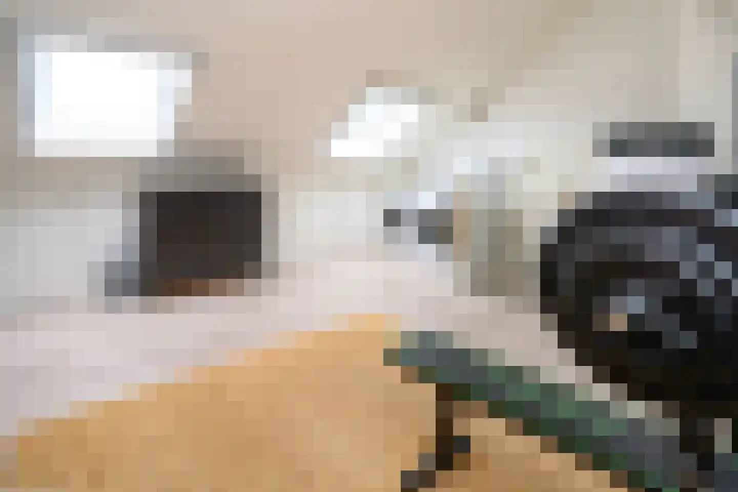Stuifzand 12 Eerbeek thumbnail 25