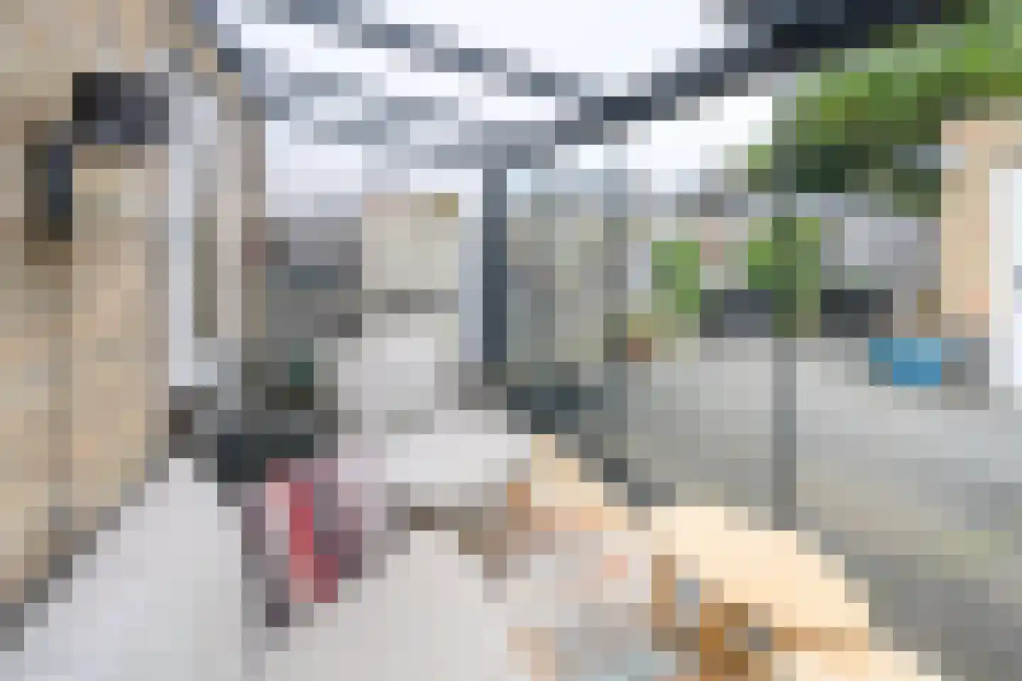 Stuifzand 12 Eerbeek thumbnail 6