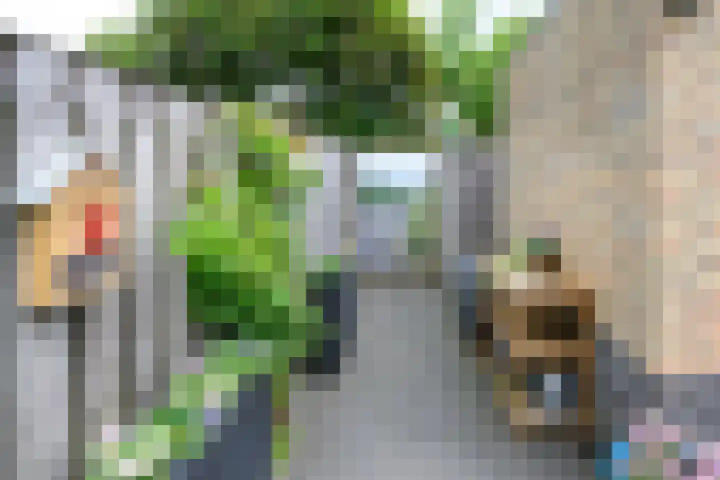 Stuifzand 12 Eerbeek thumbnail 9