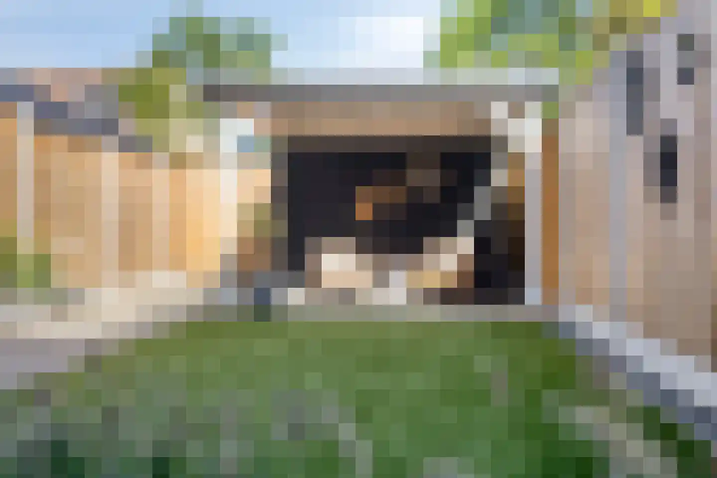 Stuifzand 42 Eerbeek thumbnail 37