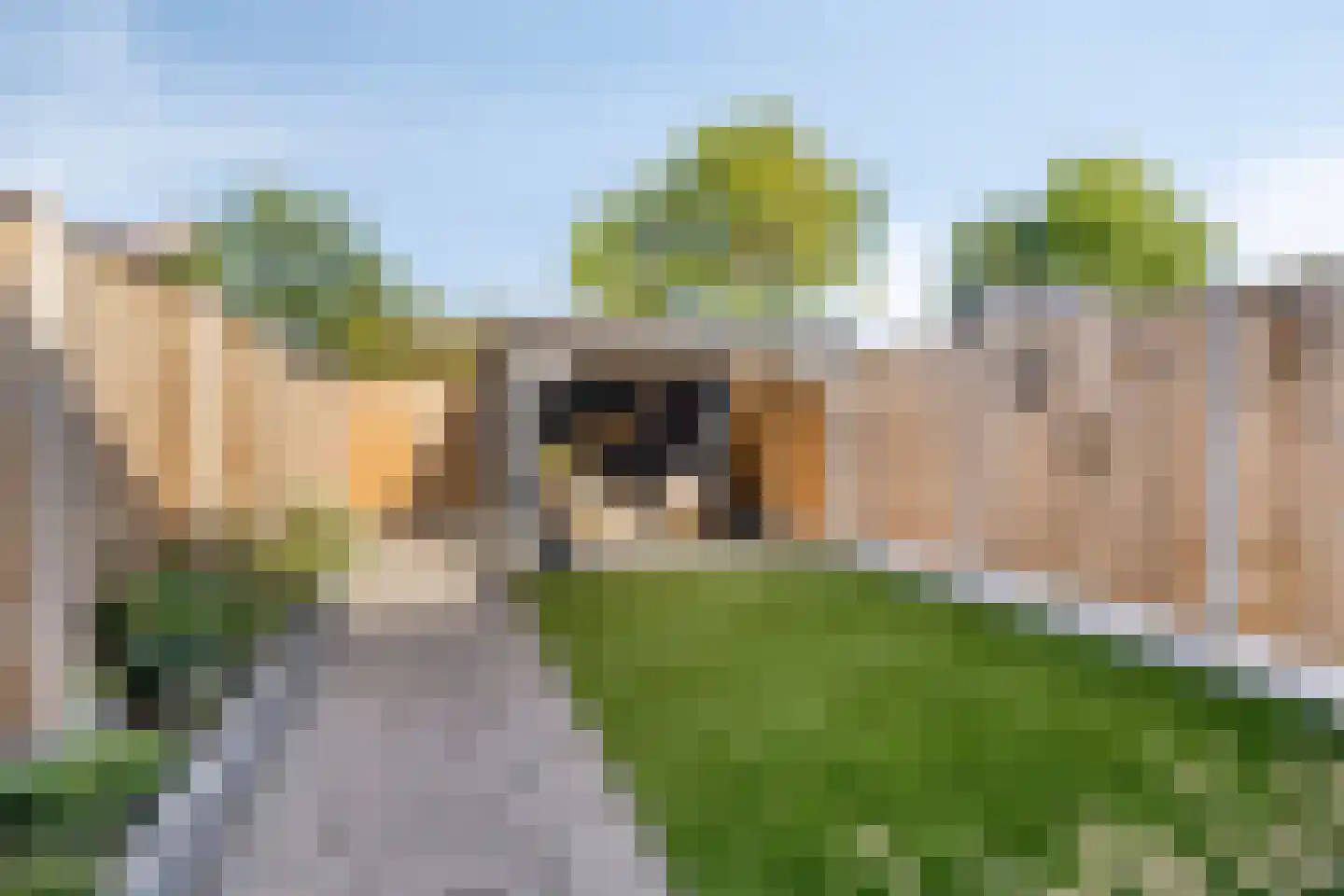 Stuifzand 42 Eerbeek thumbnail 38