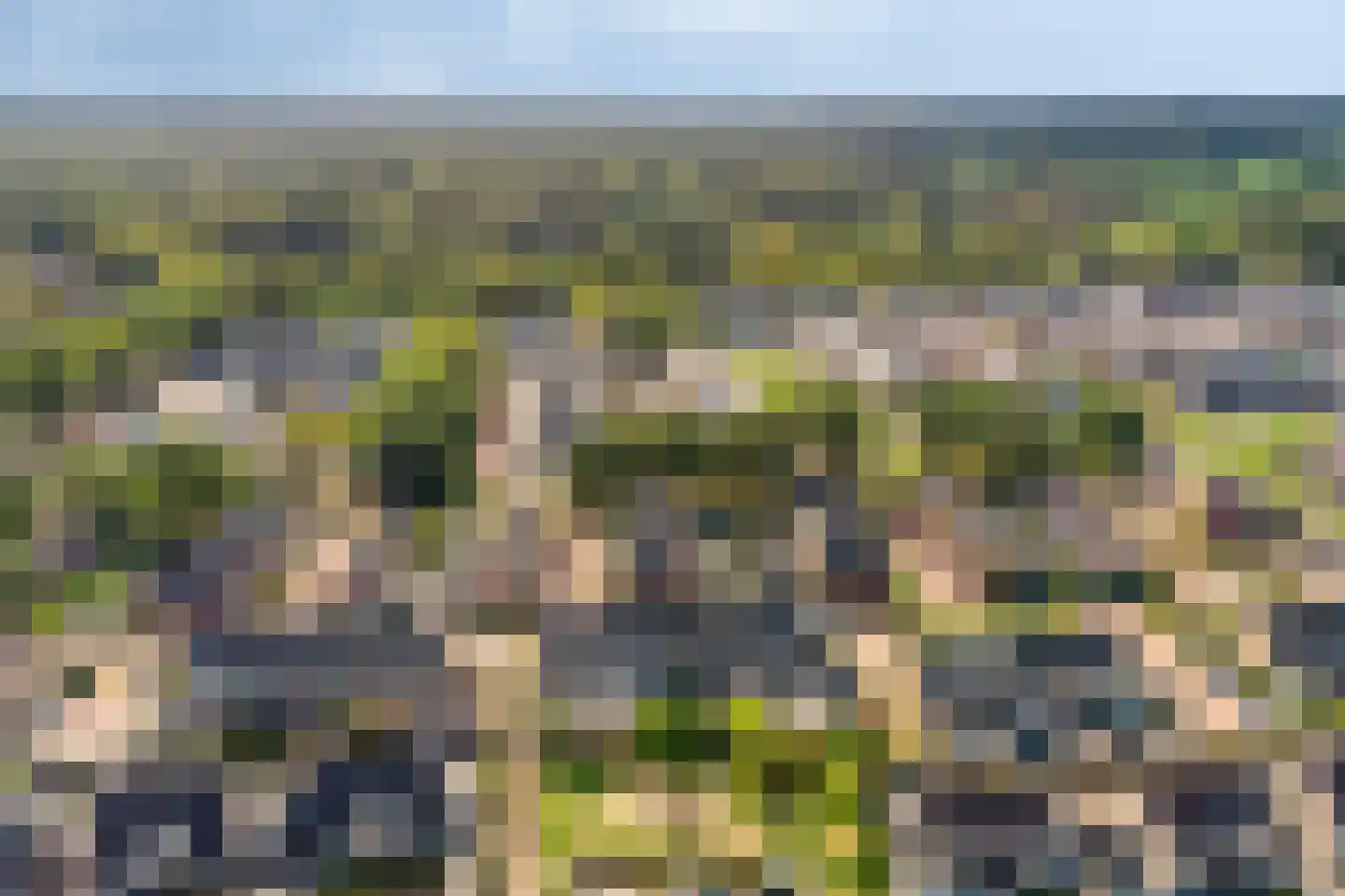 Stuifzand 42 Eerbeek thumbnail 48