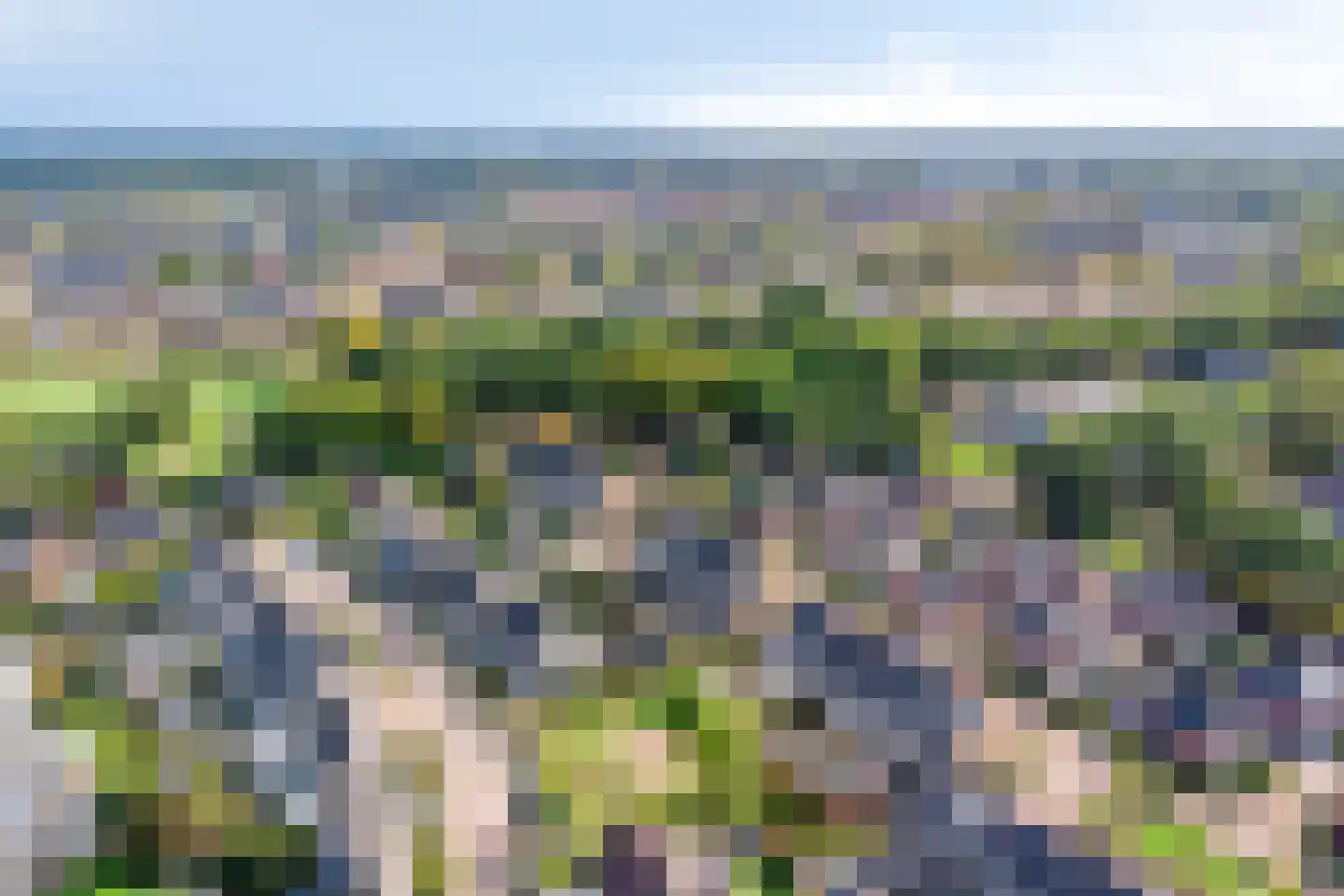 Stuifzand 42 Eerbeek thumbnail 49