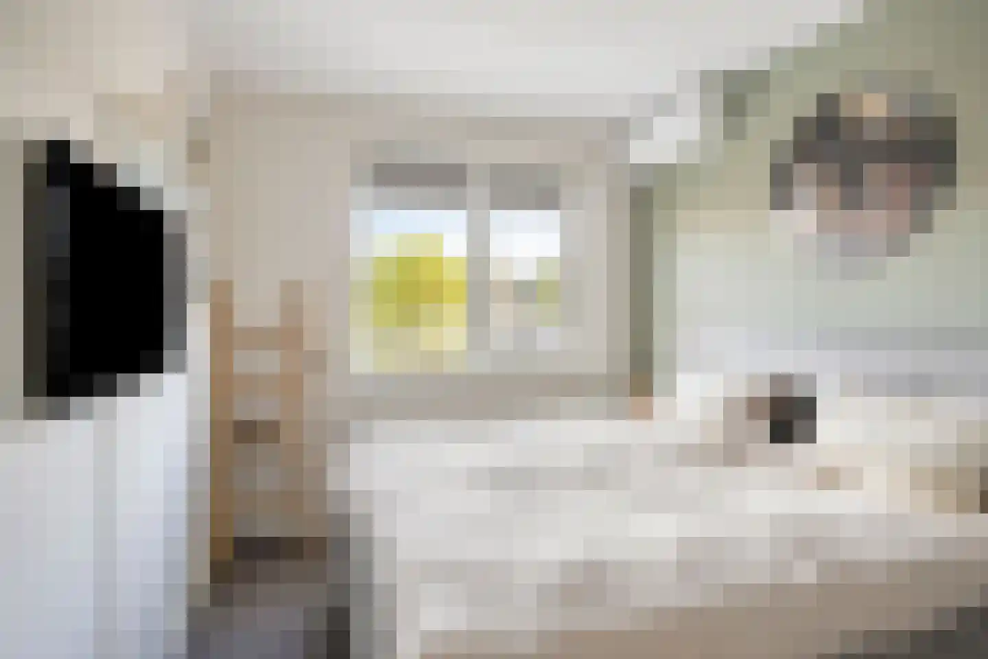 Stuifzand 42 Eerbeek thumbnail 5