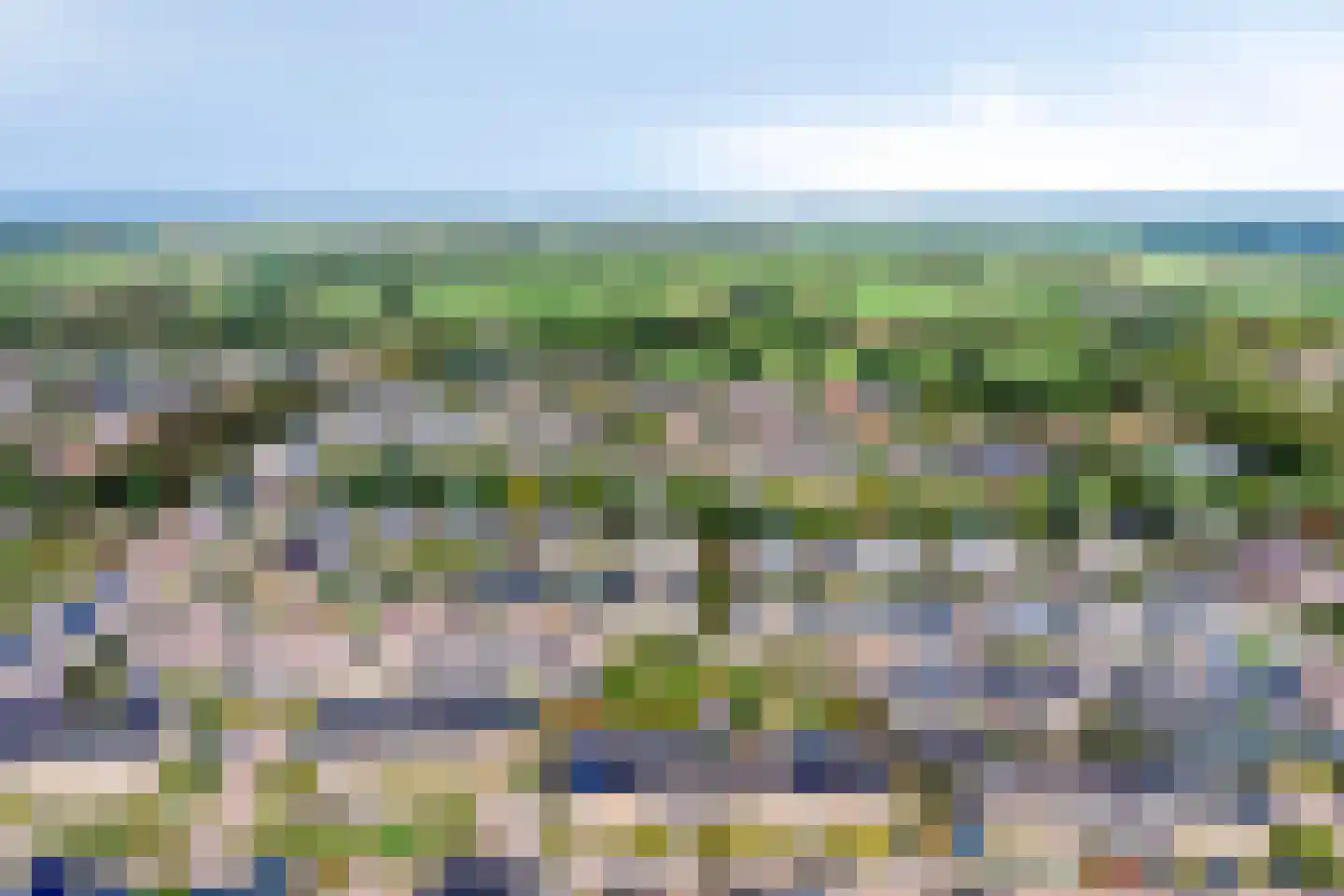 Stuifzand 42 Eerbeek thumbnail 50