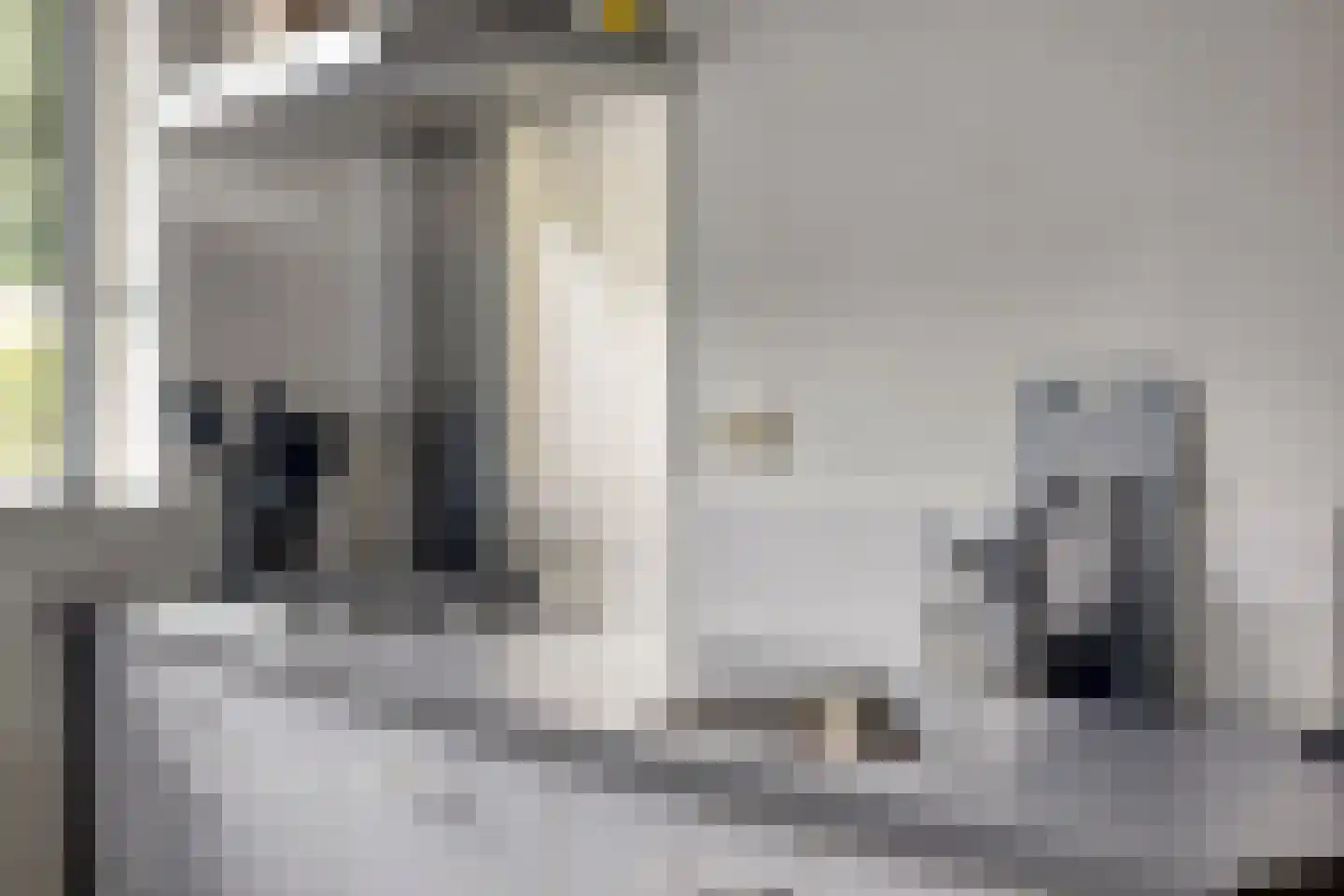 Stuifzand 6 Eerbeek thumbnail 10