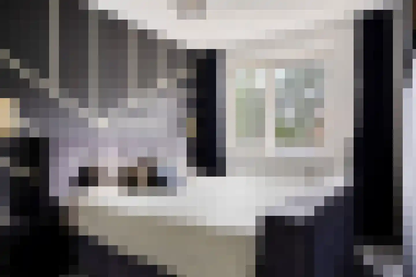 Stuifzand 6 Eerbeek thumbnail 12