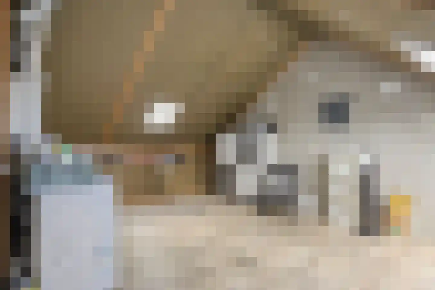 Stuifzand 6 Eerbeek thumbnail 20