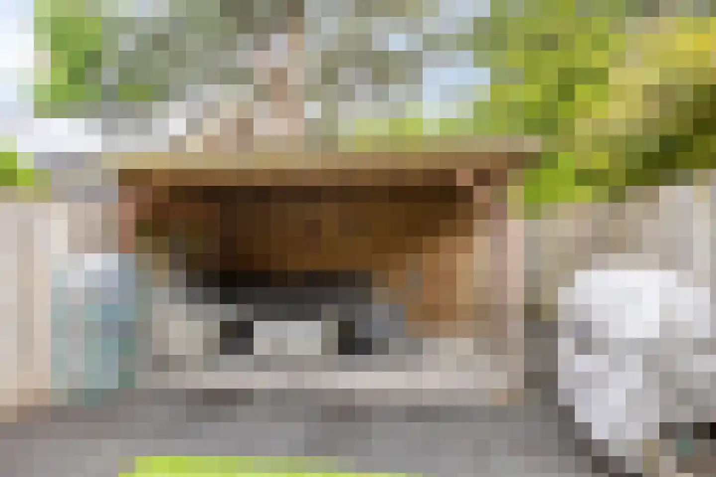 Stuifzand 6 Eerbeek thumbnail 24